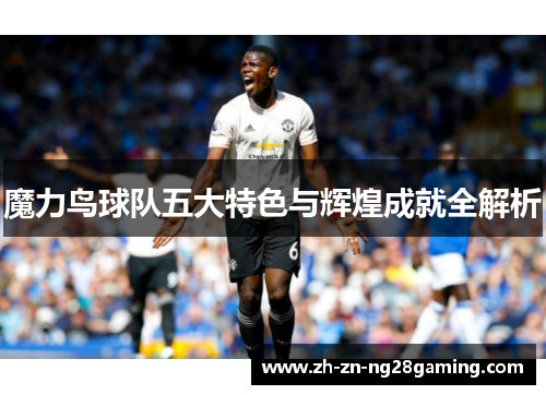 魔力鸟球队五大特色与辉煌成就全解析