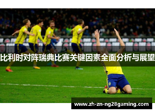 比利时对阵瑞典比赛关键因素全面分析与展望