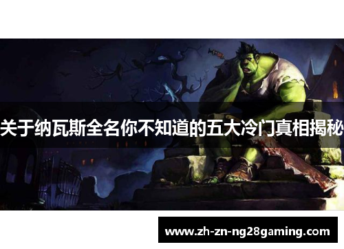 关于纳瓦斯全名你不知道的五大冷门真相揭秘