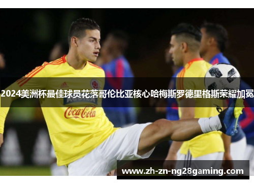 2024美洲杯最佳球员花落哥伦比亚核心哈梅斯罗德里格斯荣耀加冕